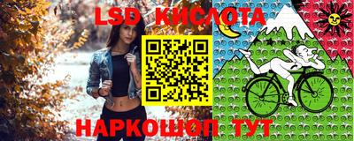 ПСИЛОЦИБИНОВЫЕ ГРИБЫ Тара