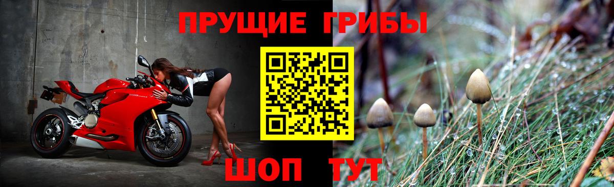 Шебекино  Галлюциногенные грибы ЛСД  Вход с VPN 